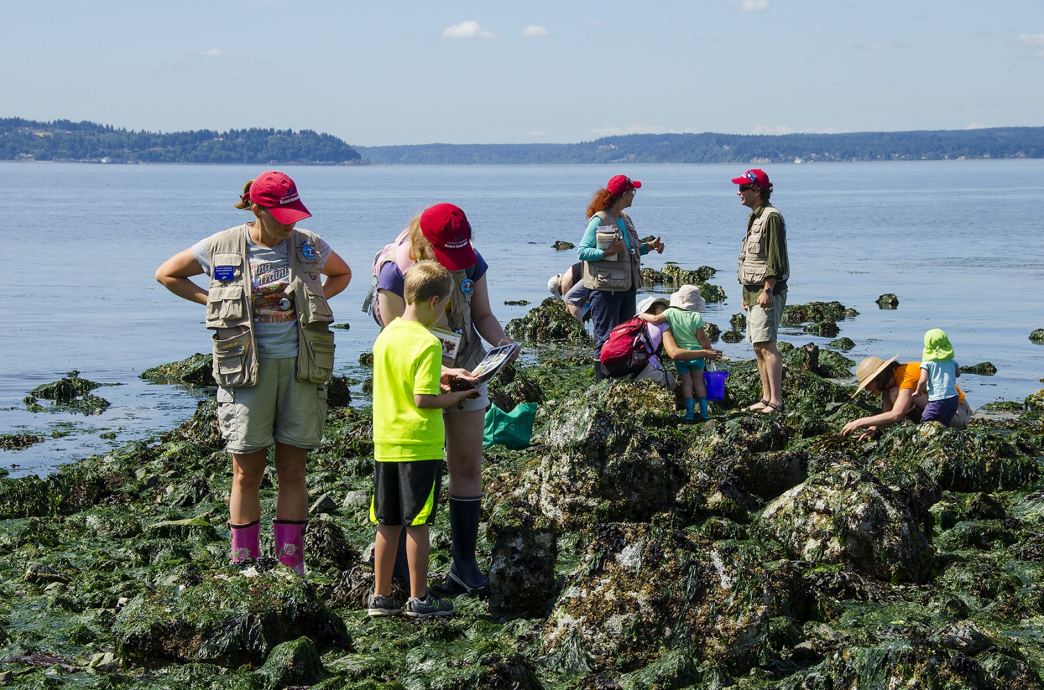 Beach Naturalist at Alki Beach