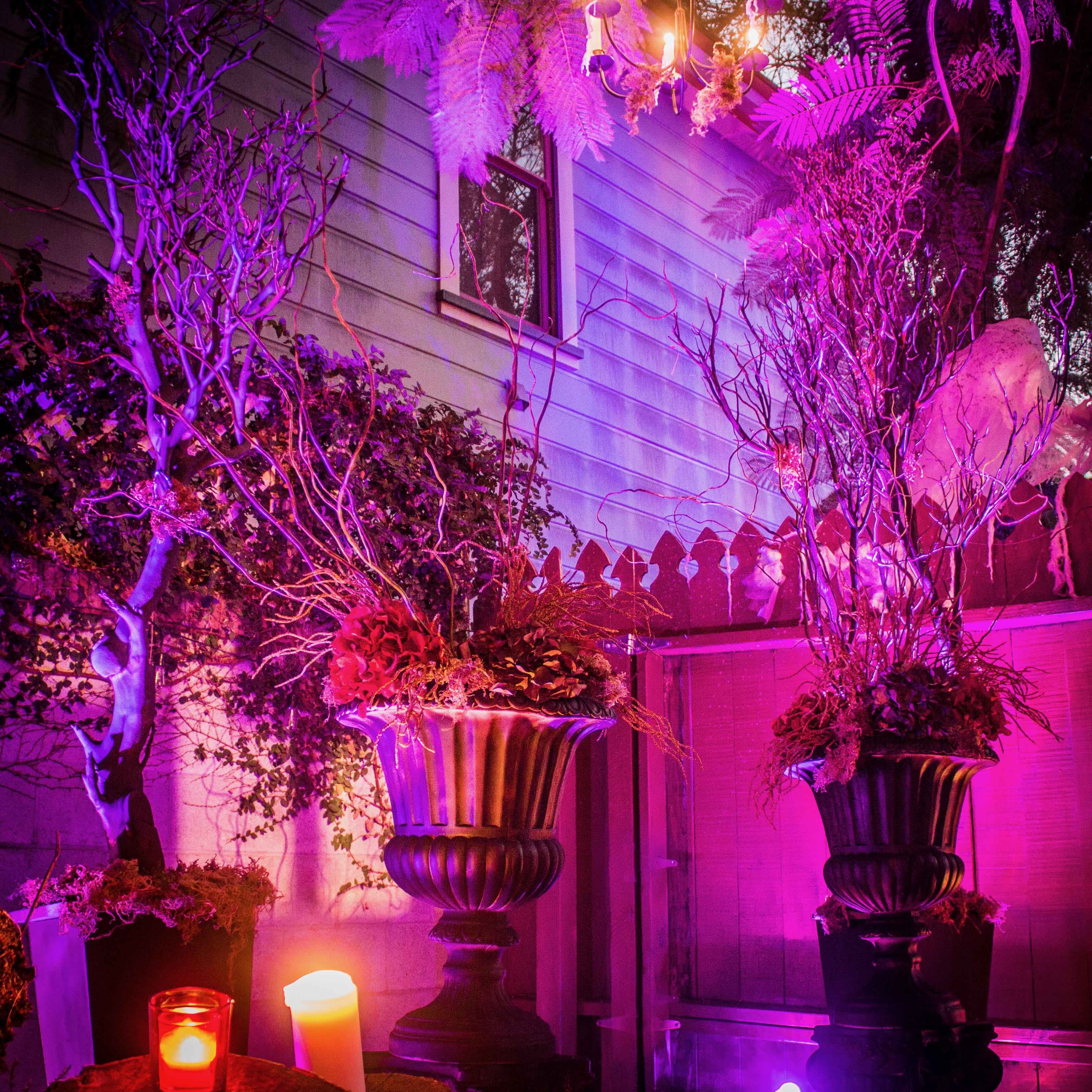 Wicked Weddings concept shoot